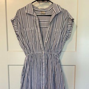Japna Pinstripe Button Down Mini Dress with Pockets